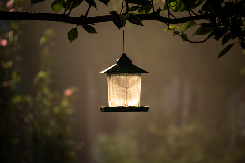 树影下的复古灯图片