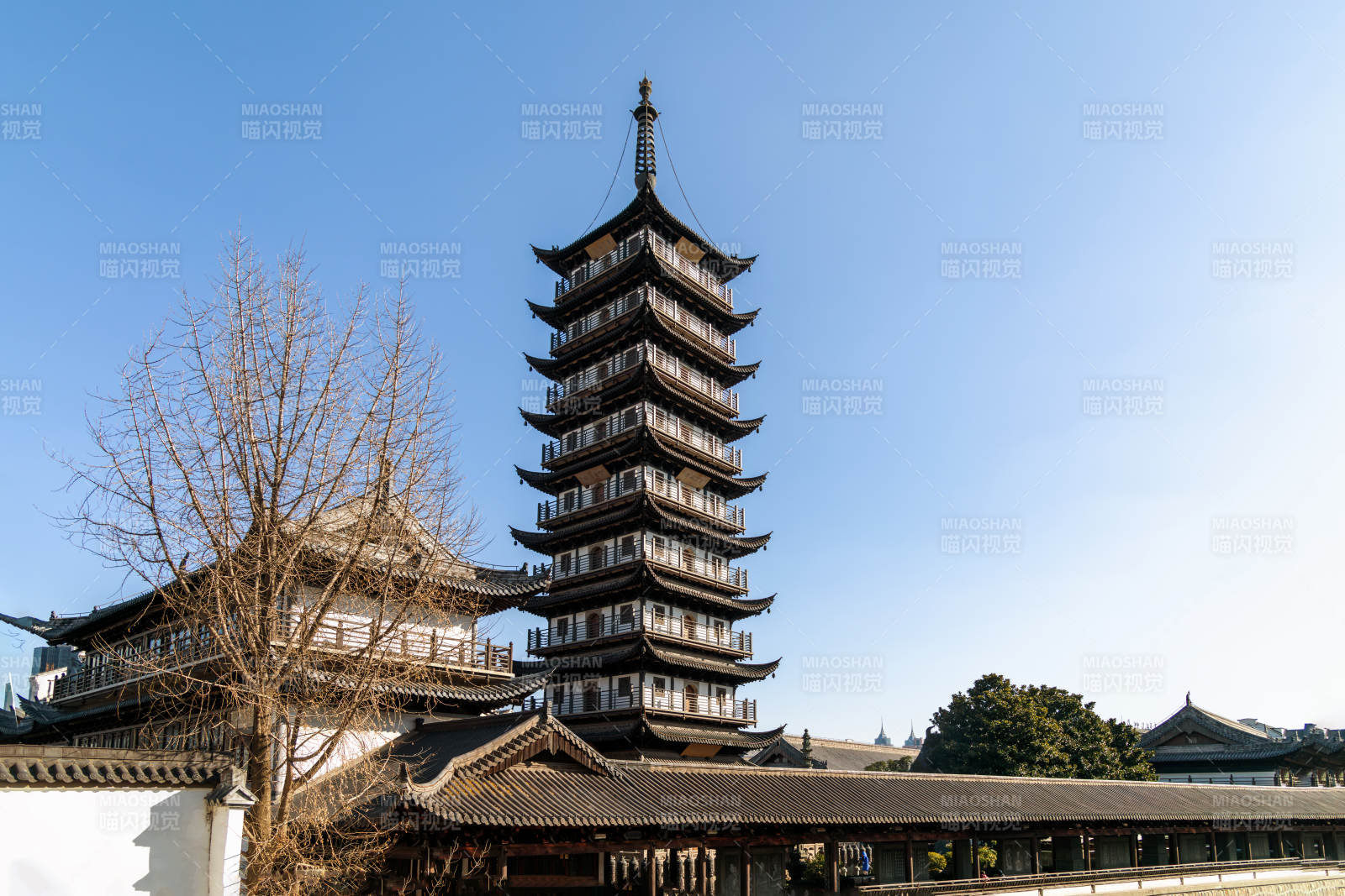 真如古塔映蓝天（上海）图片