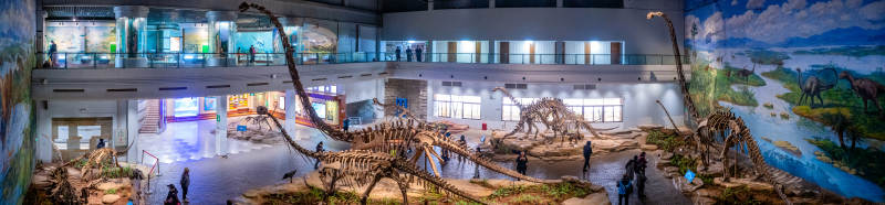 自贡恐龙化石展览馆图片