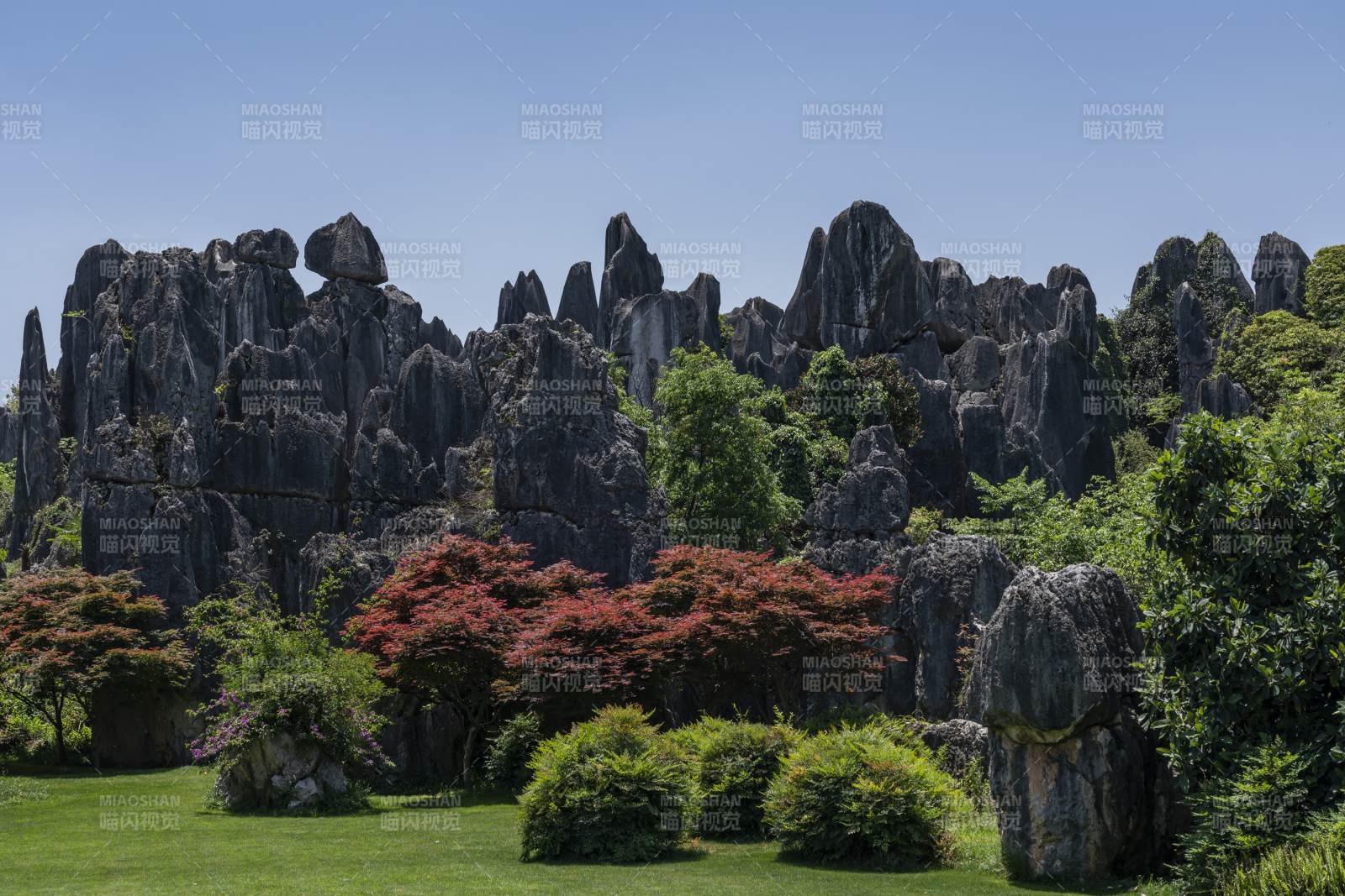 云南石林奇景图片