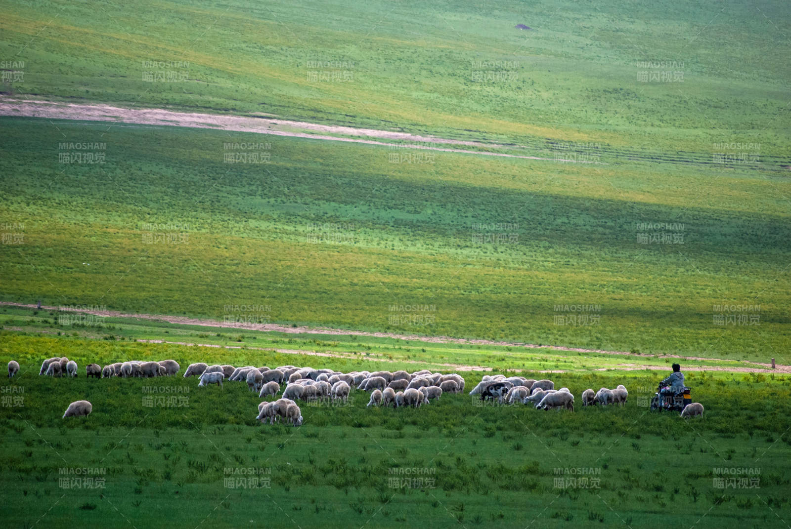 冈仁波齐雪山脚下的草原牧羊图图片