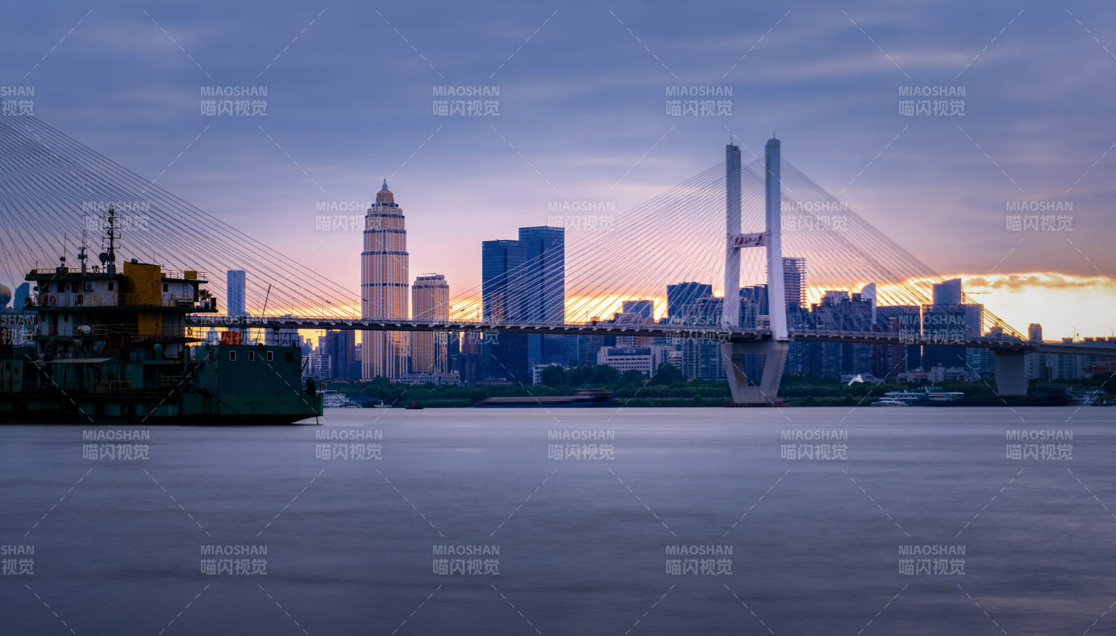 城市天际线与大桥（武汉）图片