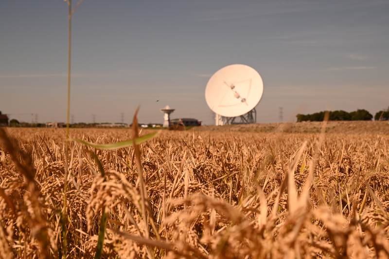稻田中的卫星天线图片