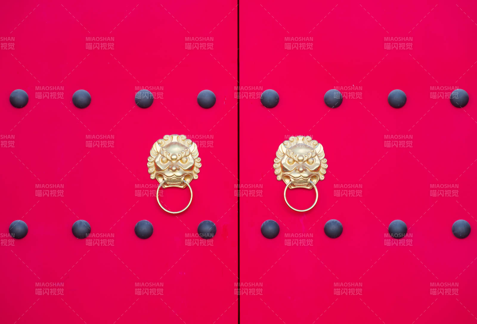 红门金狮环图片