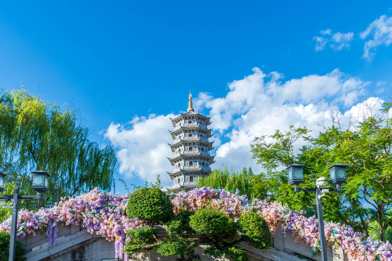 福州闽越水镇塔影花海映蓝天图片