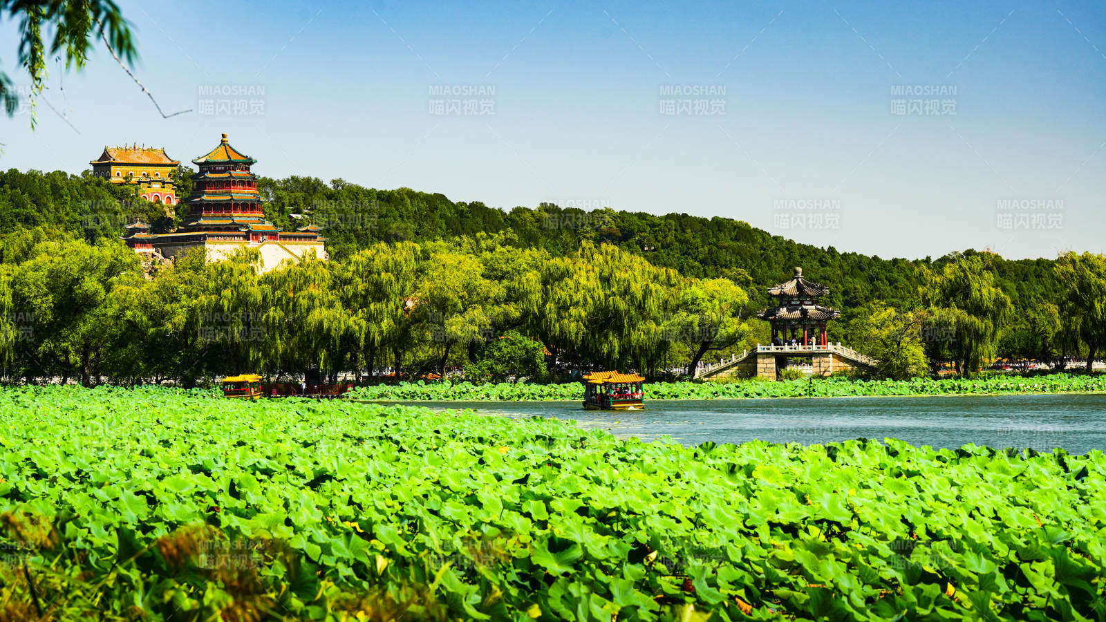 颐和园湖景图片