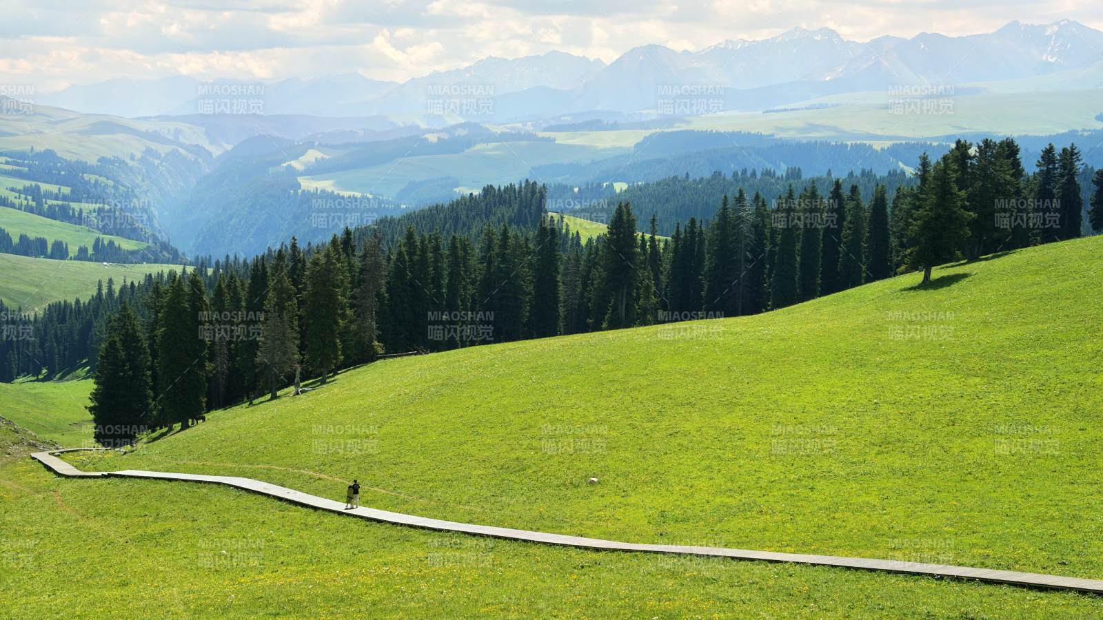 喀拉峻大草原鲜花台图片