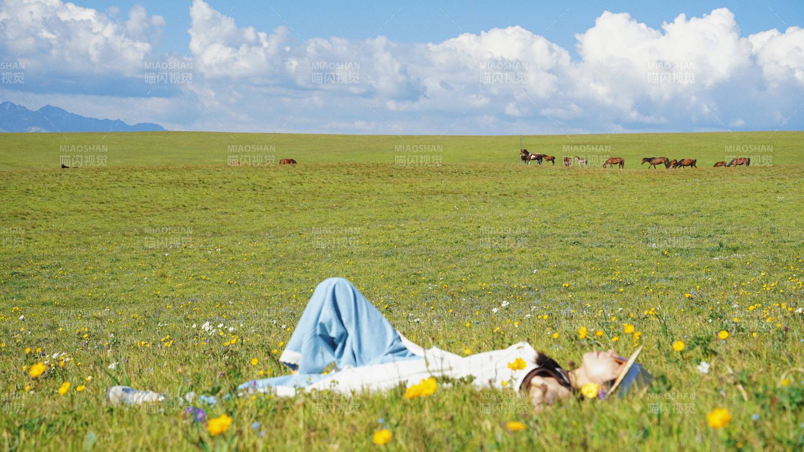 新疆草原上的宁静时光图片