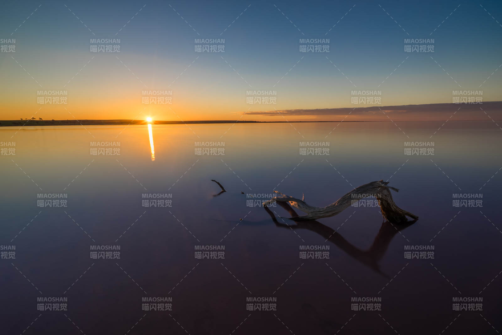 澳洲盐湖日落枯树枝静影图片