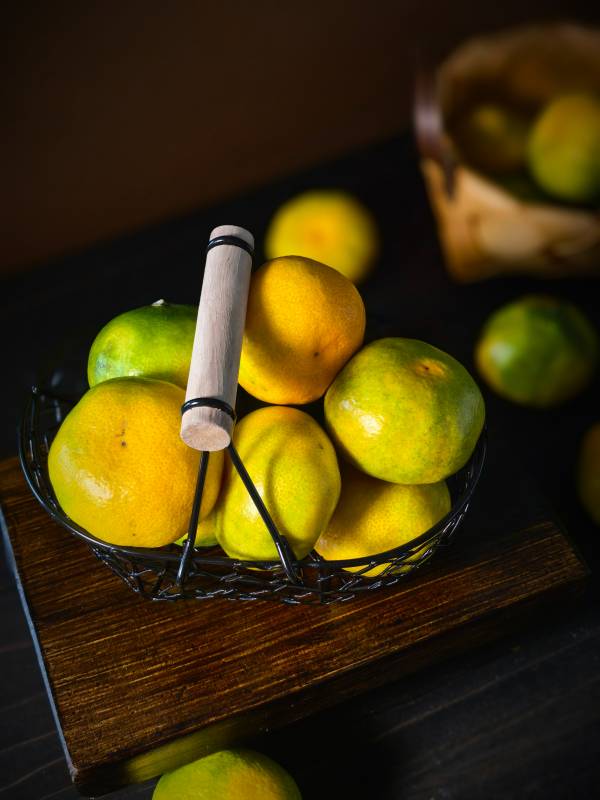 金桔静物图图片