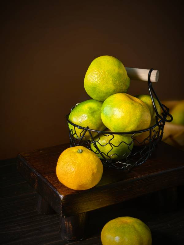 柑橘静物图图片