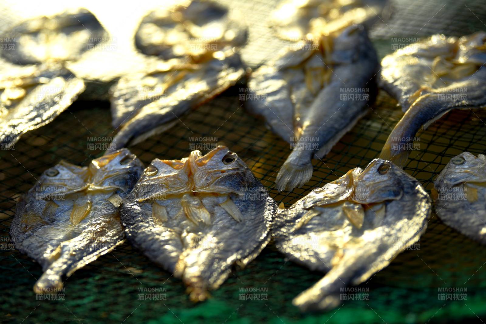 晒干的鱼片图片