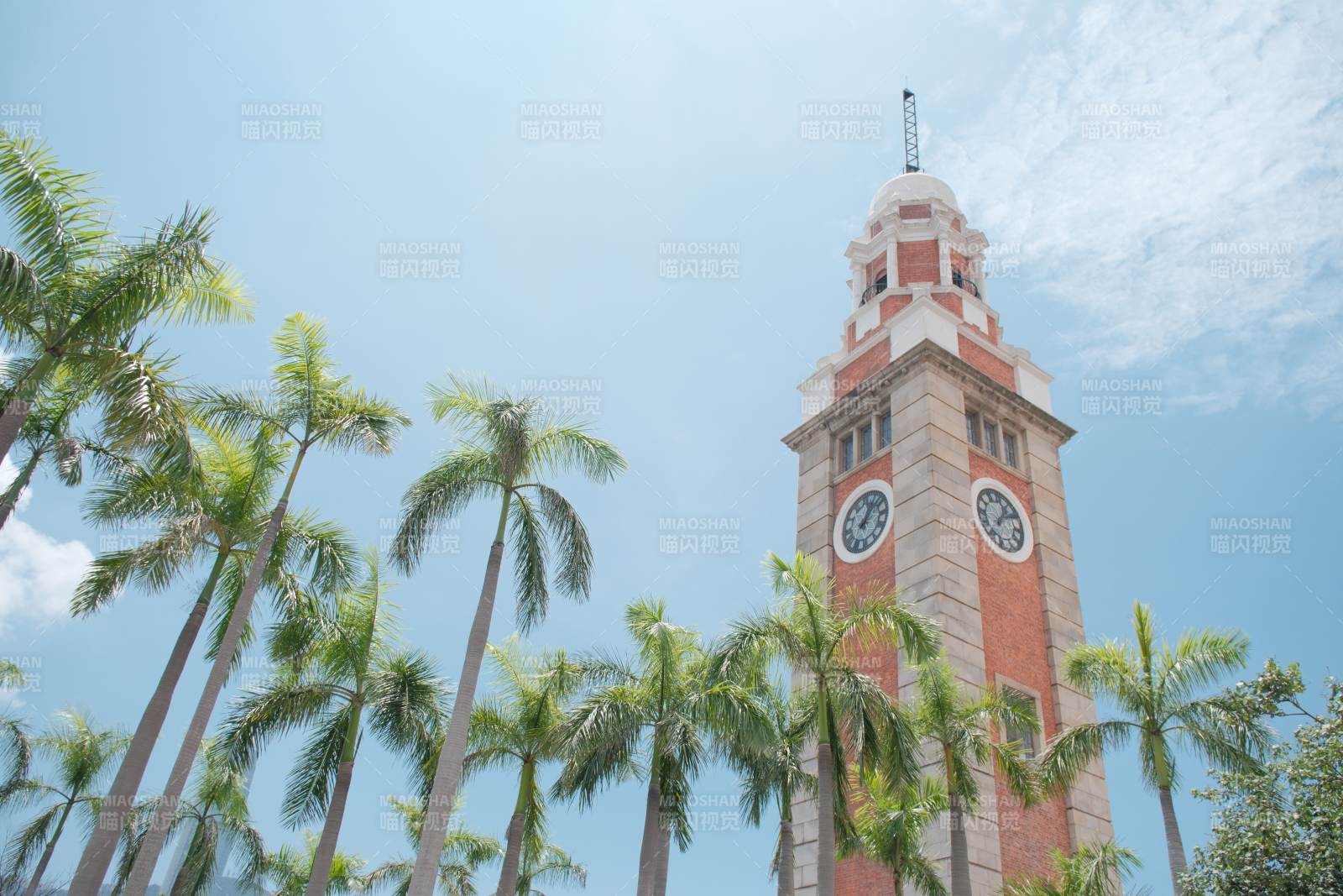 香港钟楼与棕榈树图片