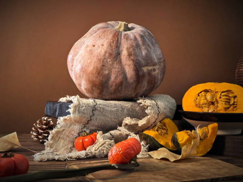 秋日南瓜静物图片