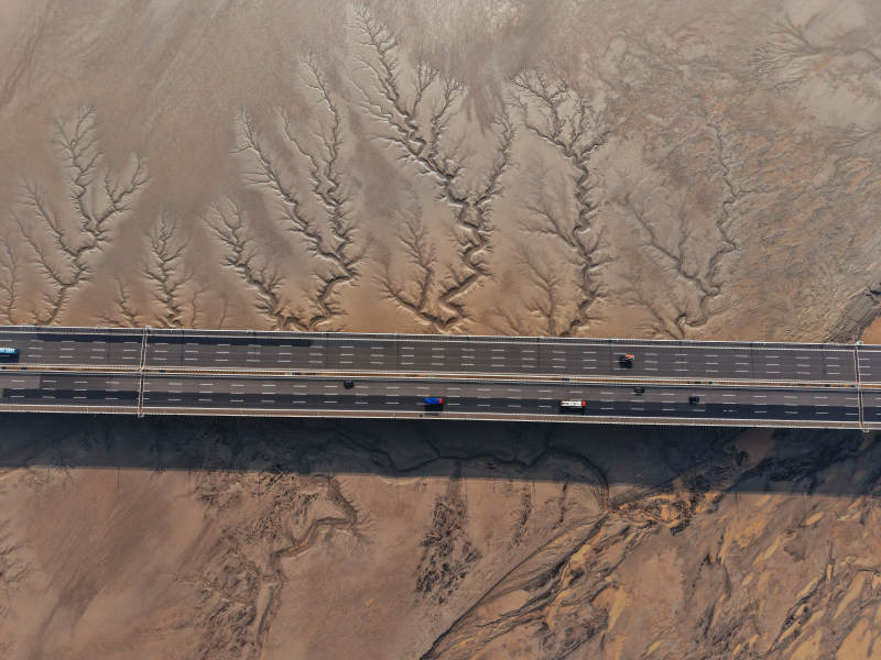 杭州钱塘江潮汐树航拍图片