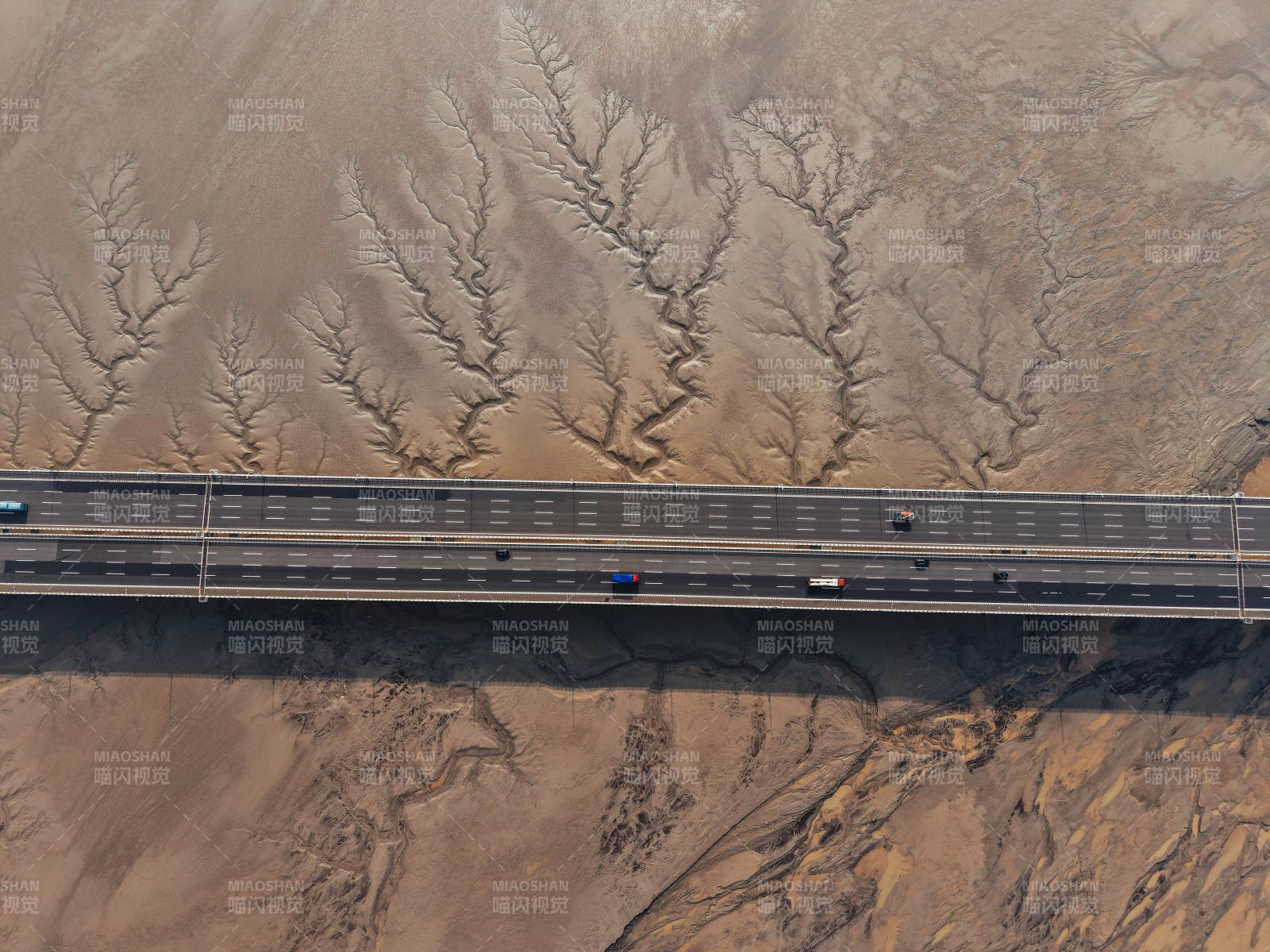 杭州钱塘江潮汐树航拍图片