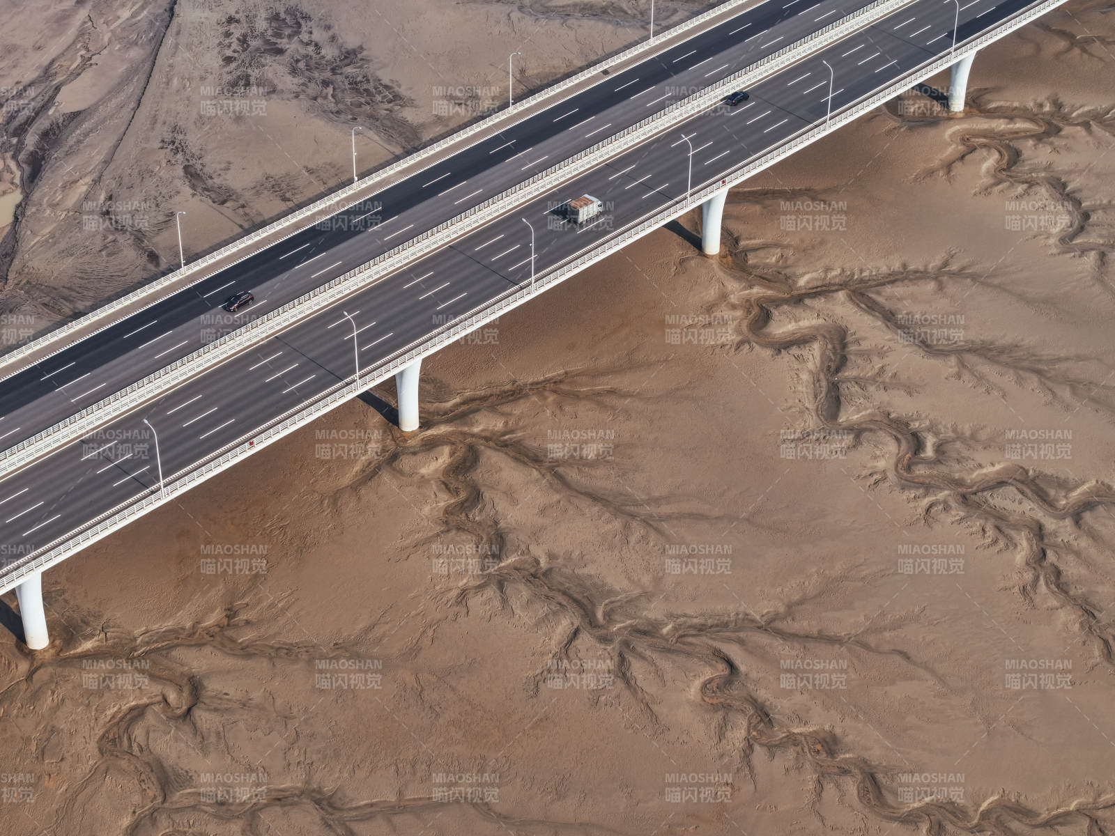 杭州钱塘江潮汐树图片