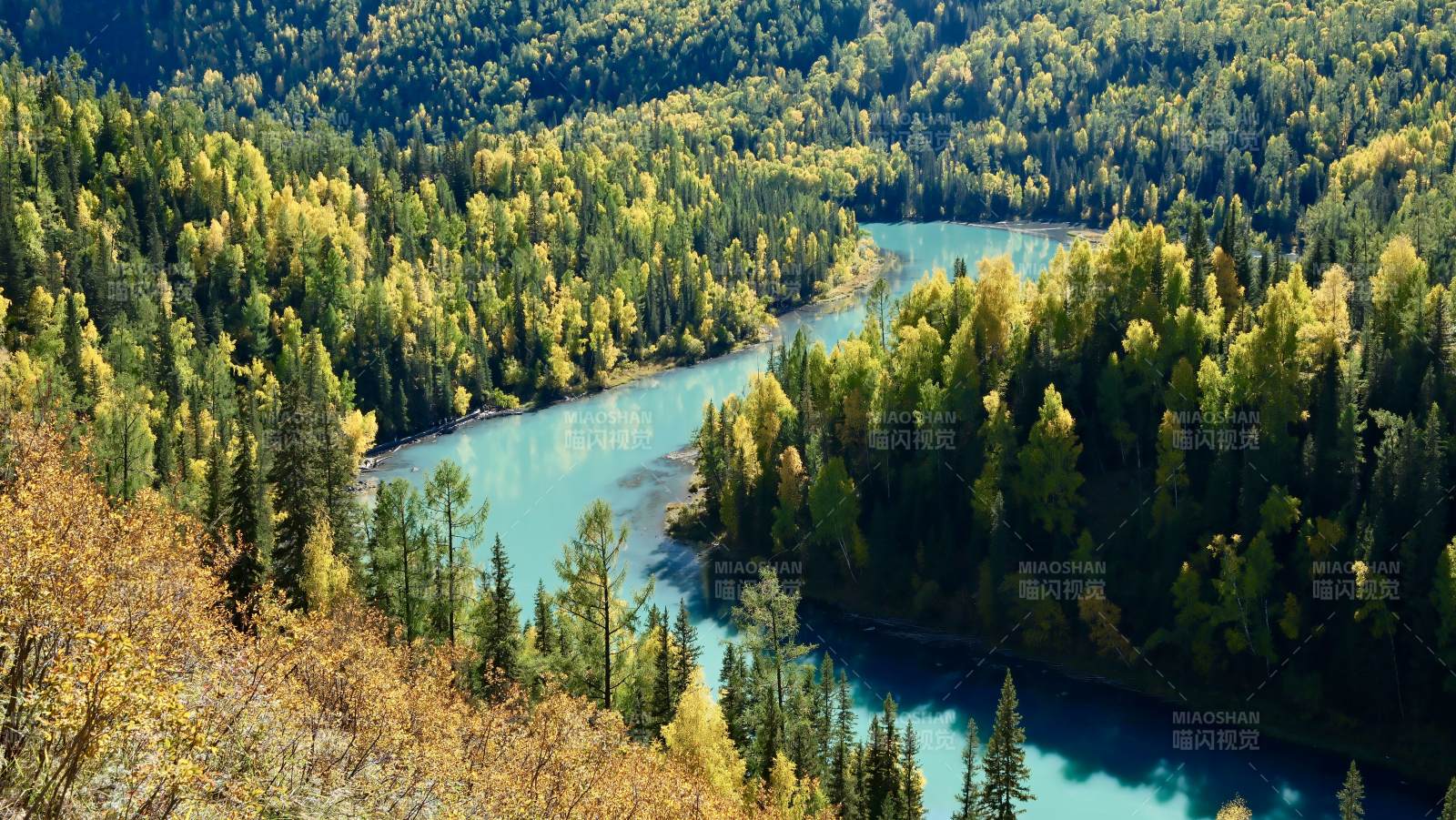 喀纳斯秋林碧水风光图片