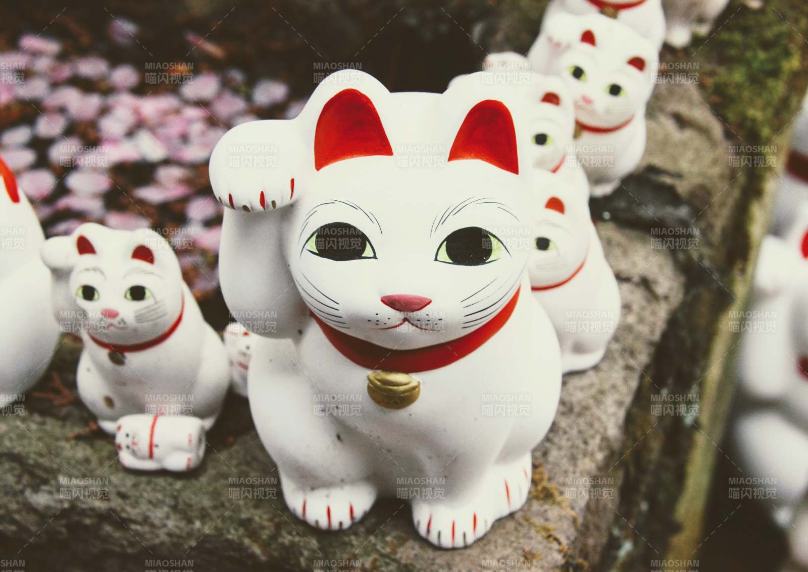 招财猫-豪徳寺图片