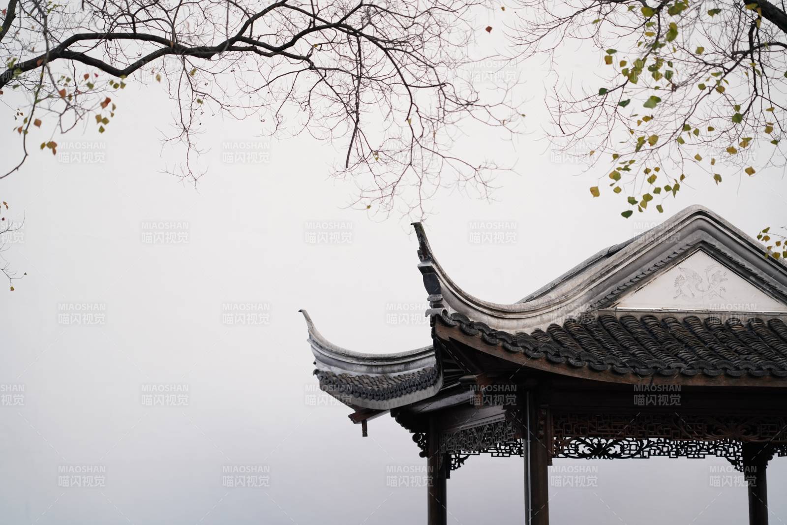 古亭飞檐映枝头-老门东图片