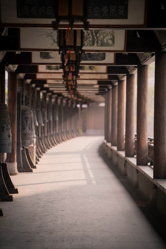 长廊幽深静谧-上海真如寺图片