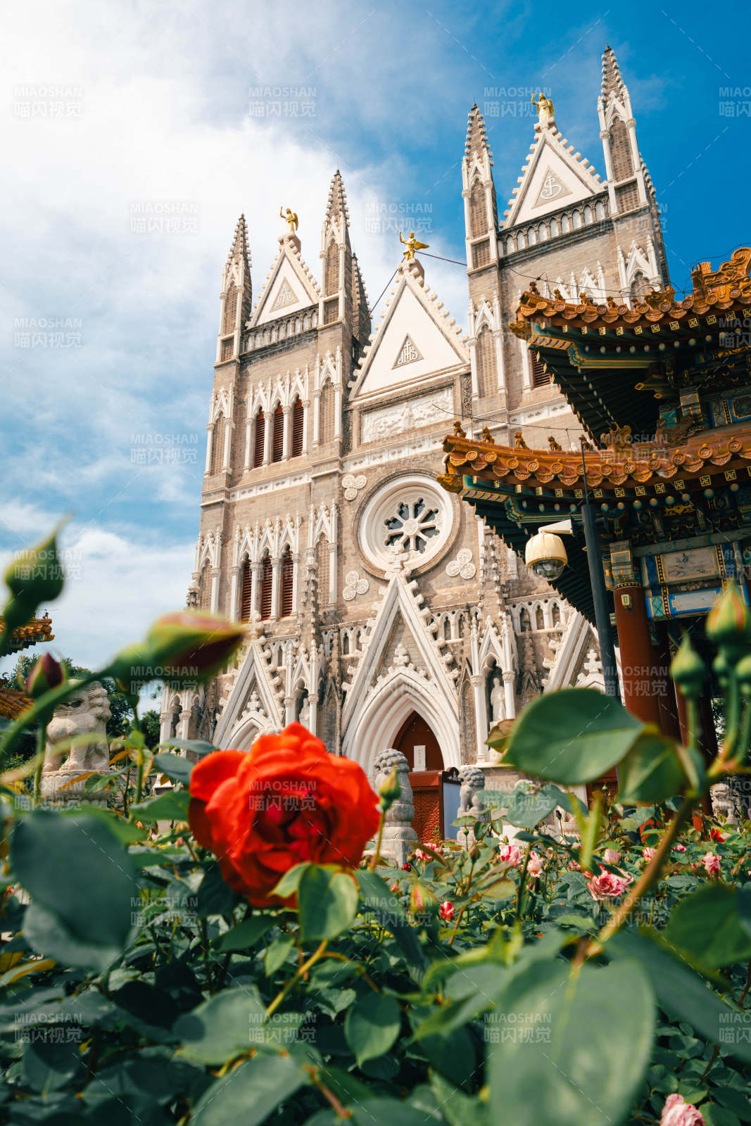 玫瑰与教堂图片