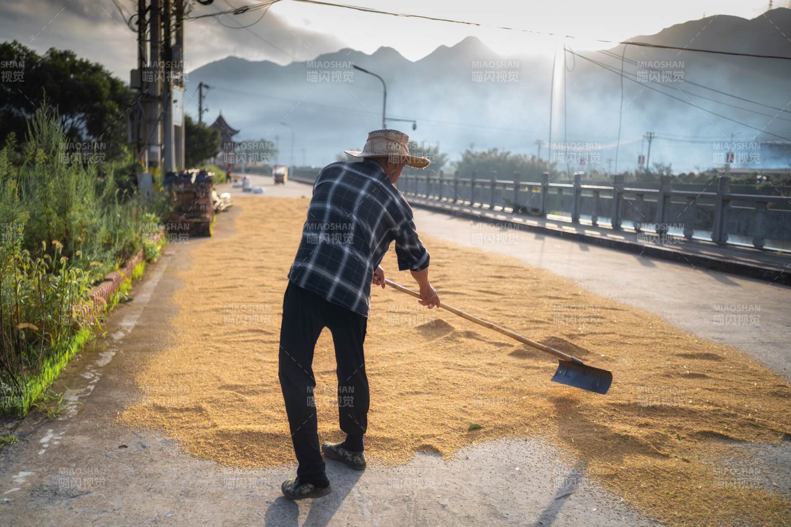 晒谷的农人图片