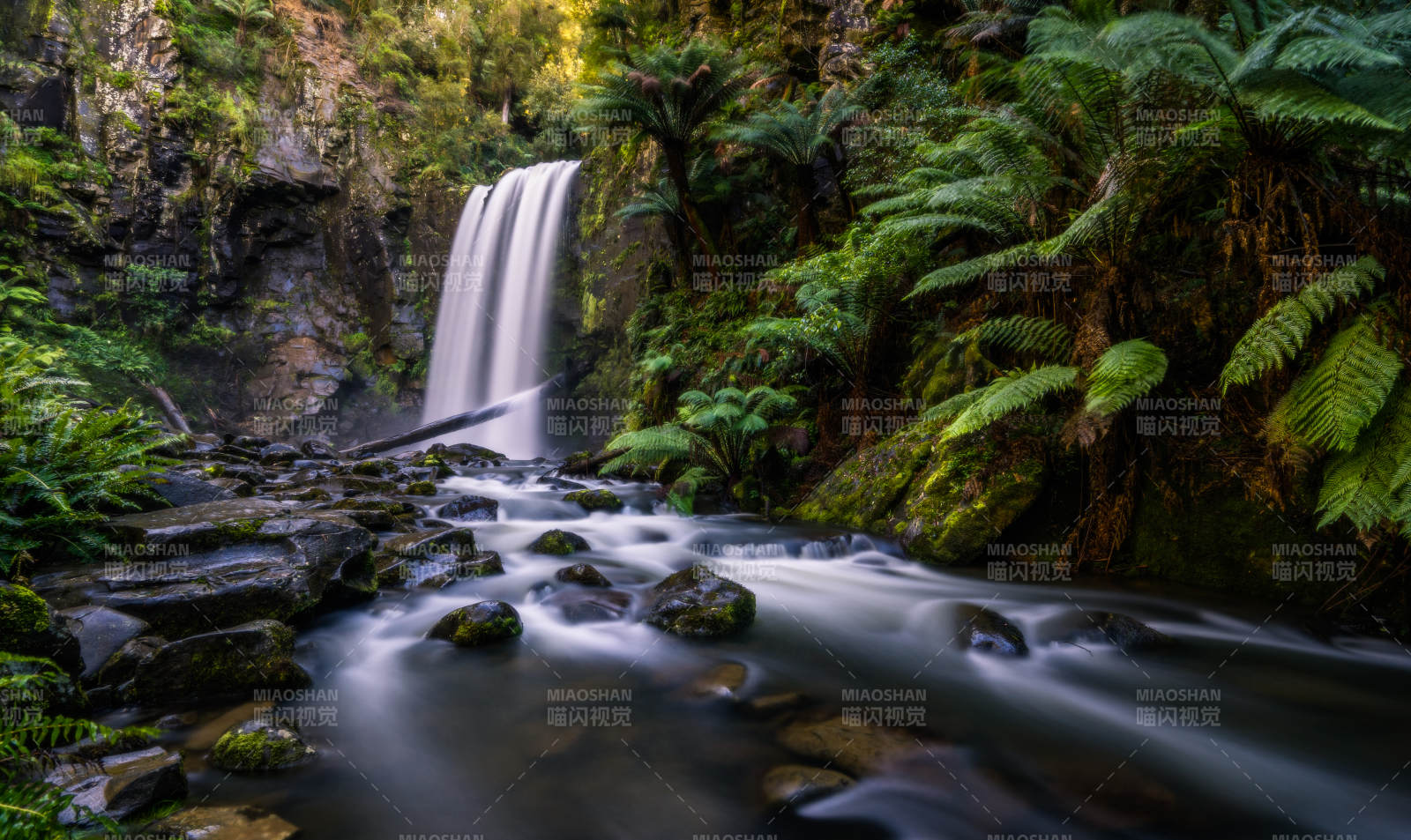 澳洲大洋路沿途森林瀑布图片
