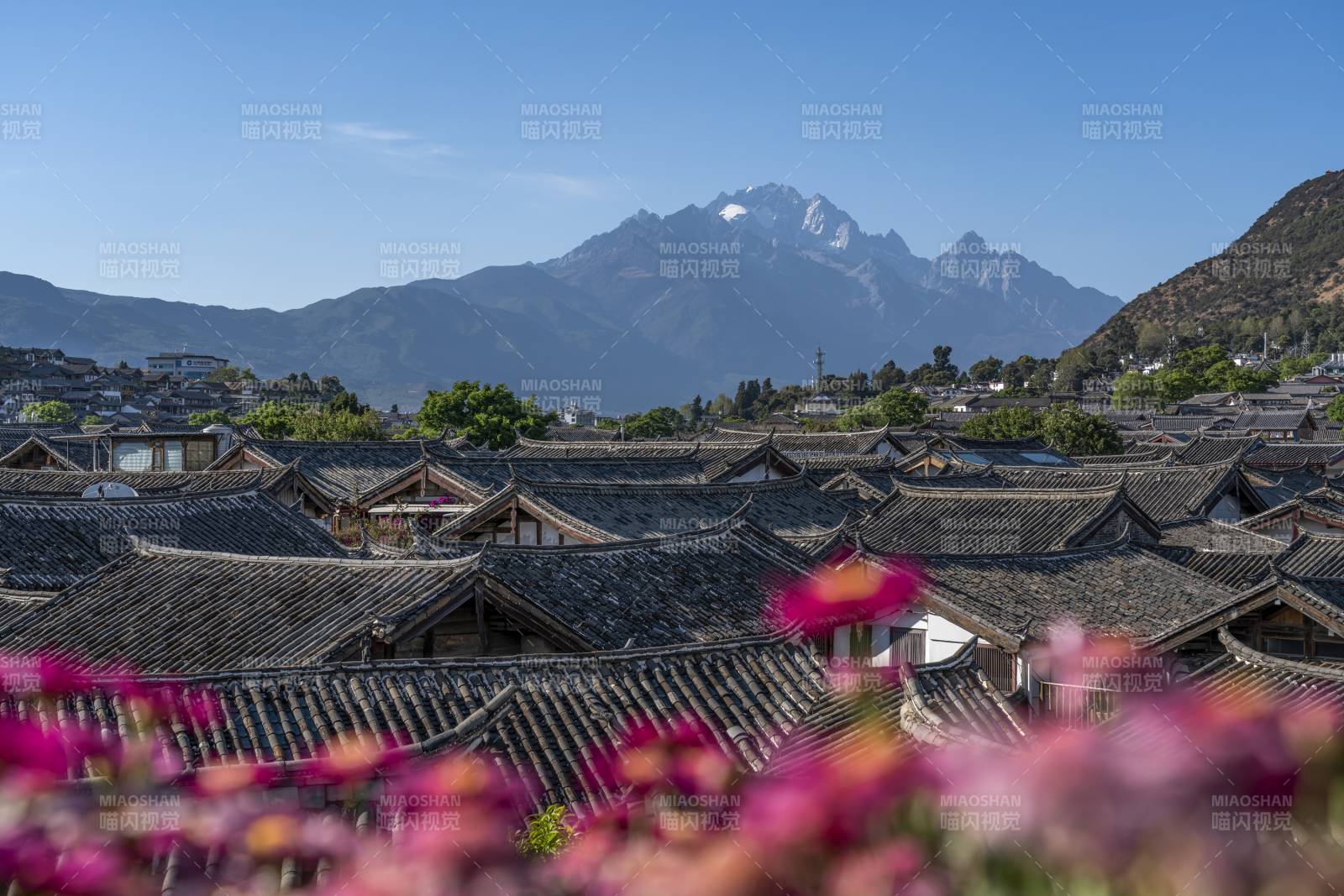 丽江古城与玉龙雪山同框图片