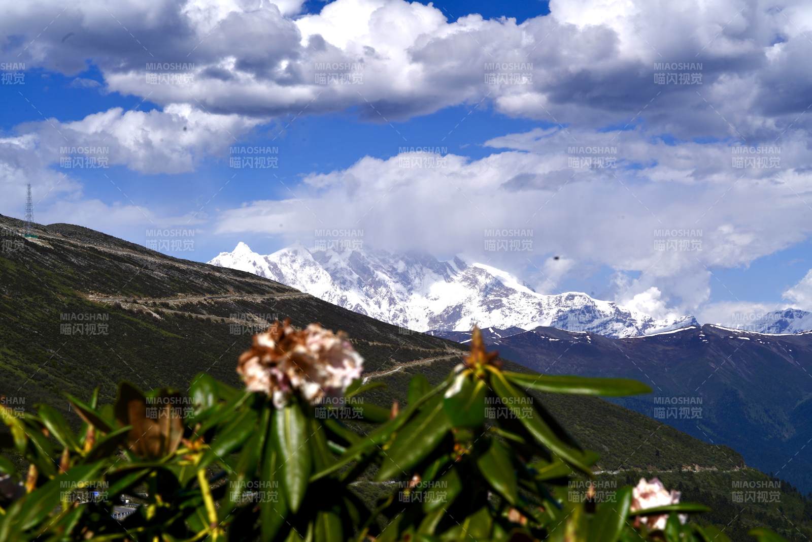 雪山花影-南迦巴瓦峰图片