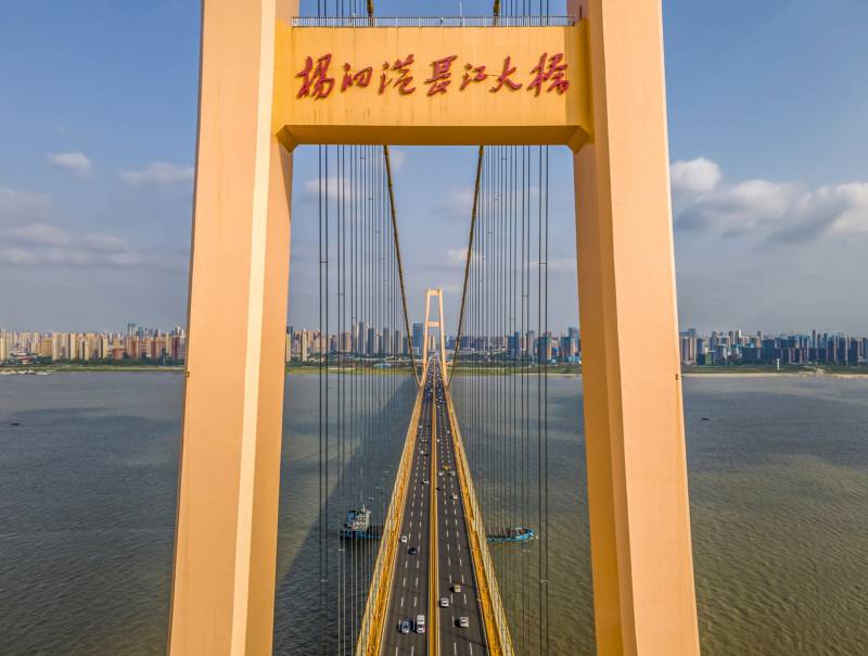 杨泗港长江大桥图片