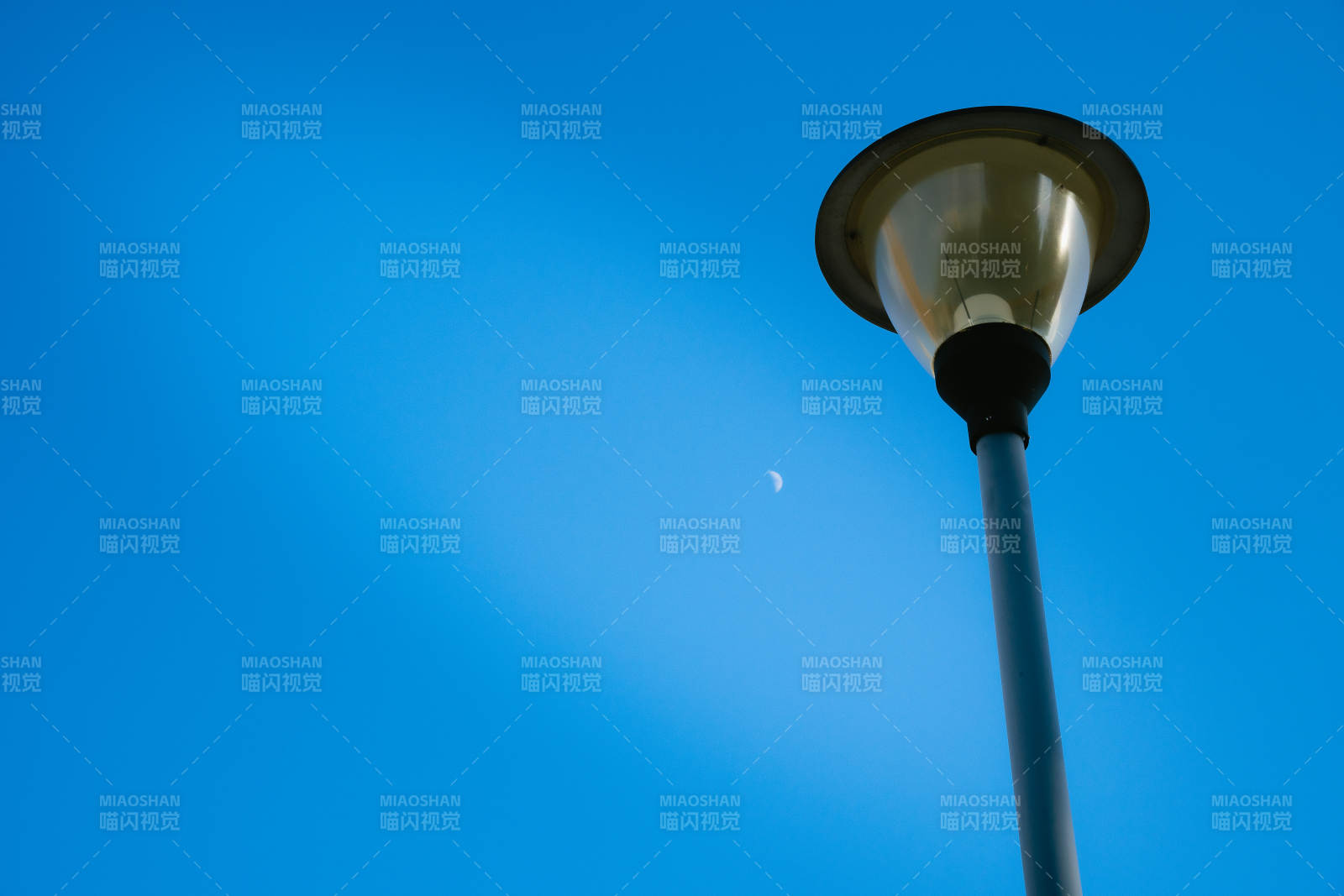 灯下明月夜图片