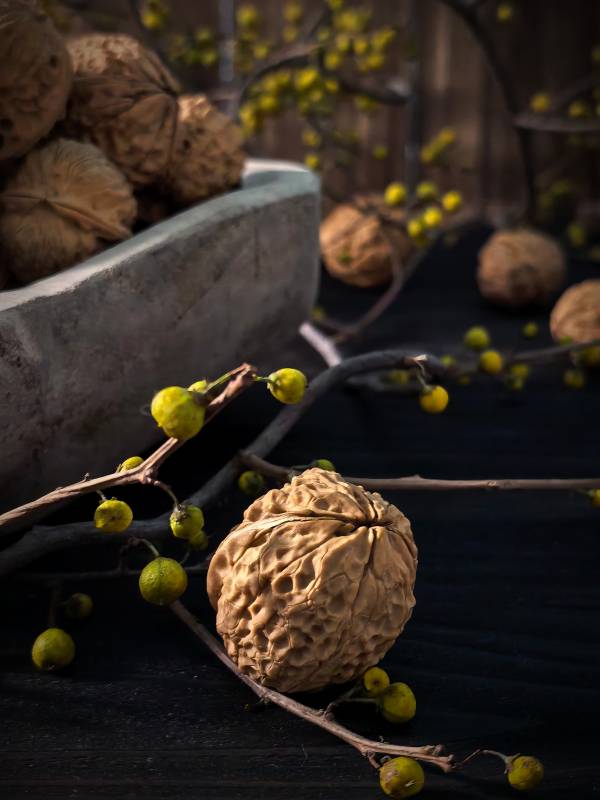 核桃与南陀藤图片