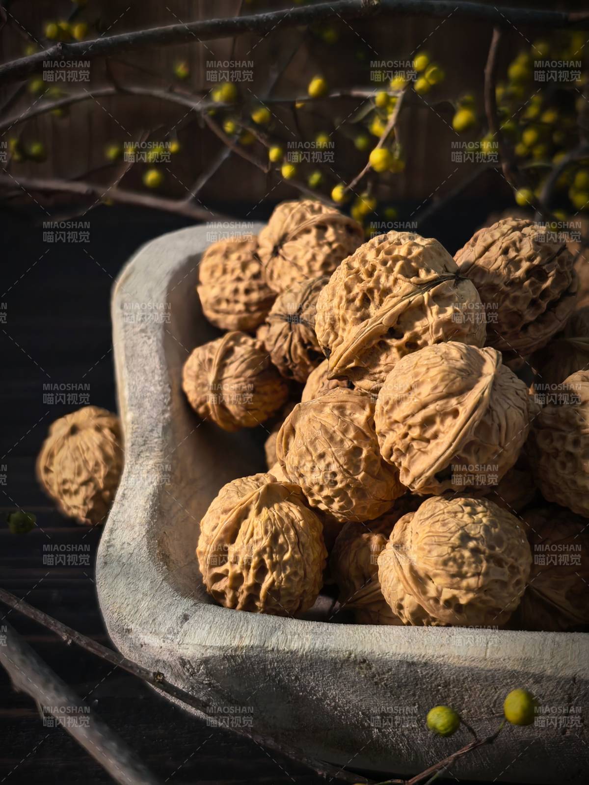 核桃静物图图片