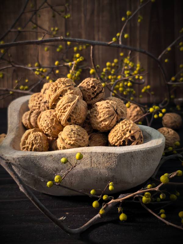 核桃静物图图片
