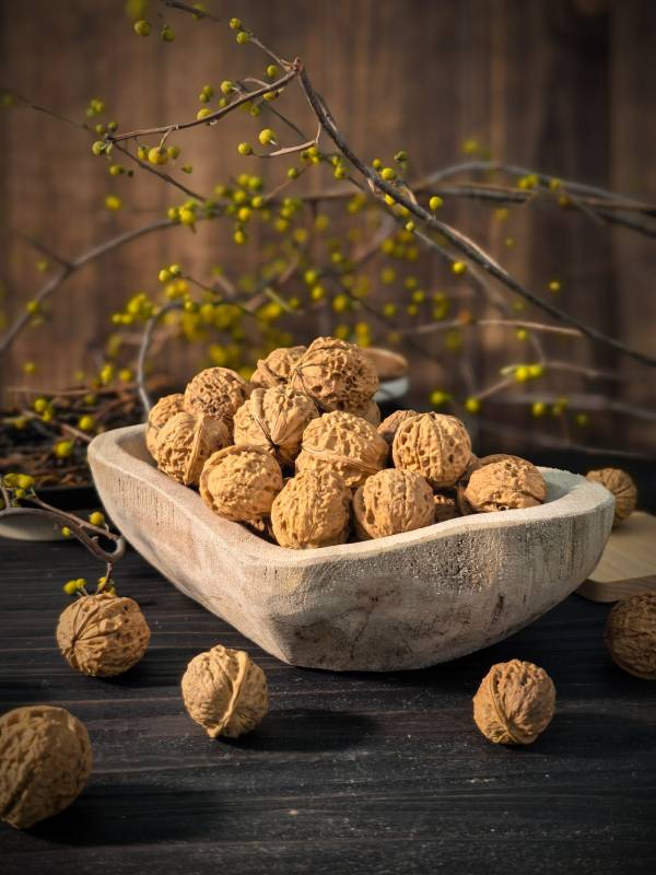 核桃静物图图片