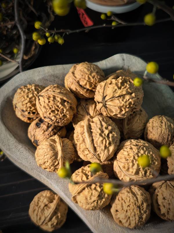 核桃静物图图片