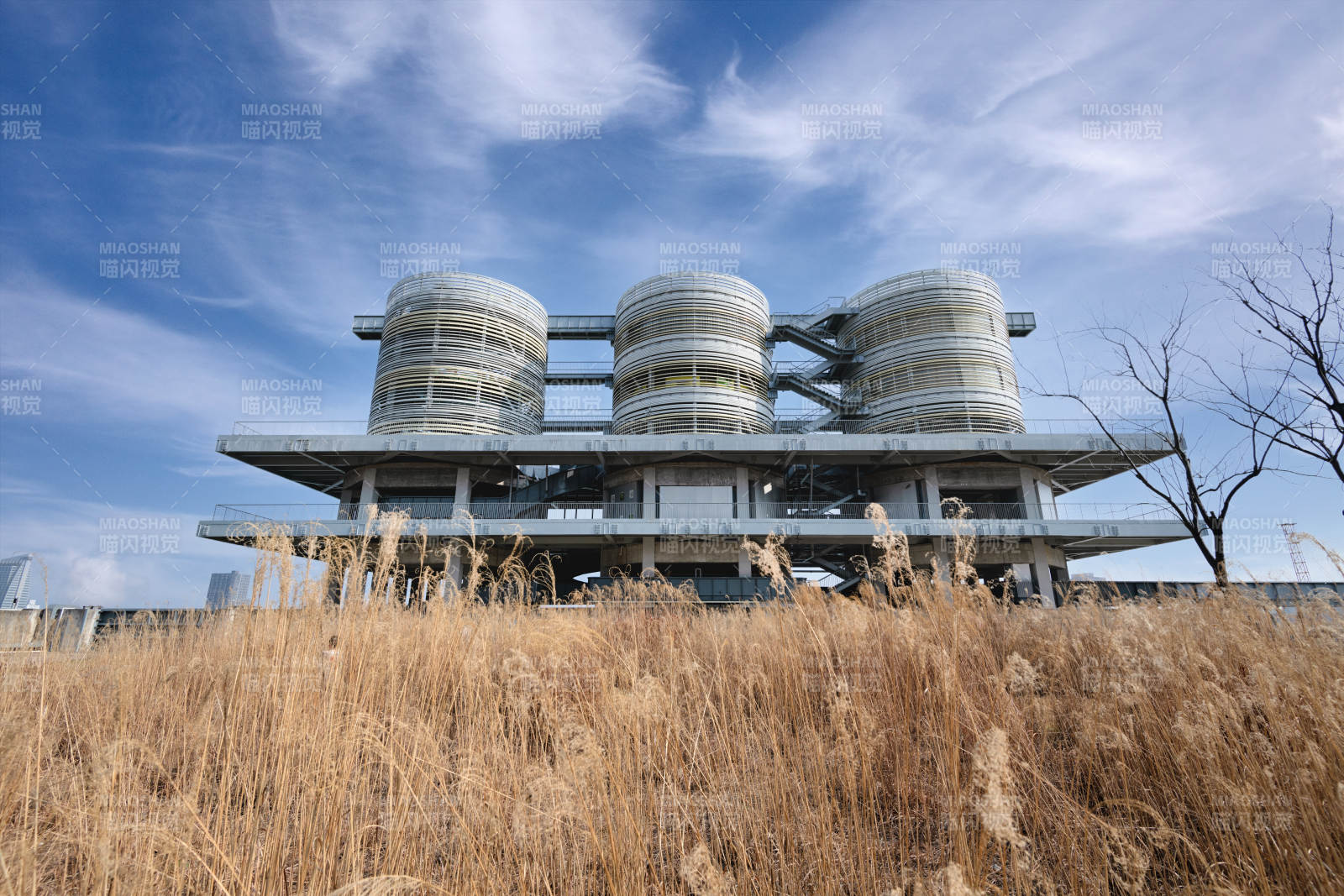 现代建筑与枯草#上海#杨浦灰仓图片