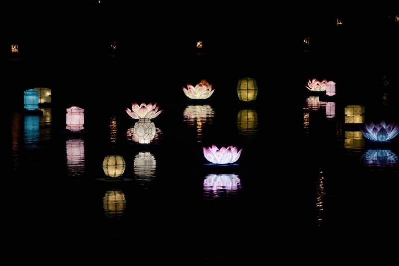水中莲花灯影图片