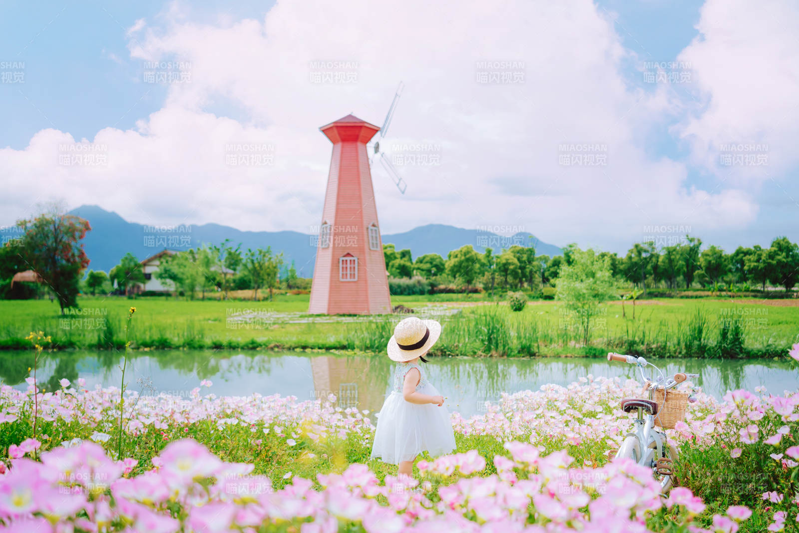 花海风车田园梦图片
