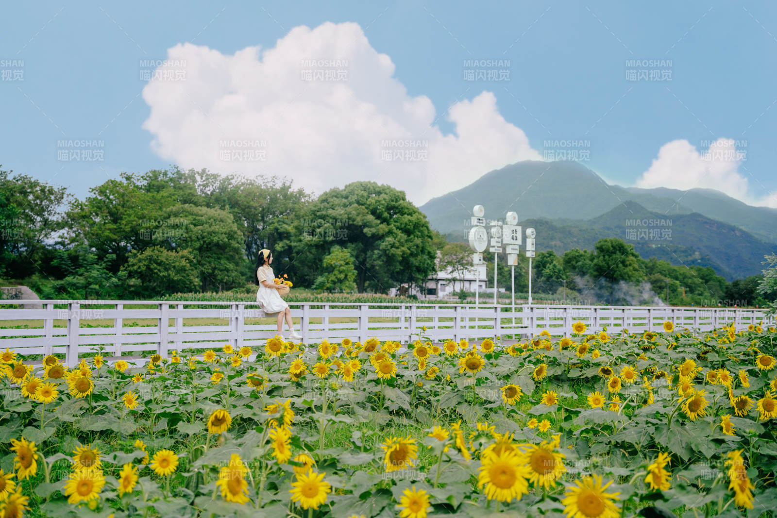 向日葵花海中的女孩图片