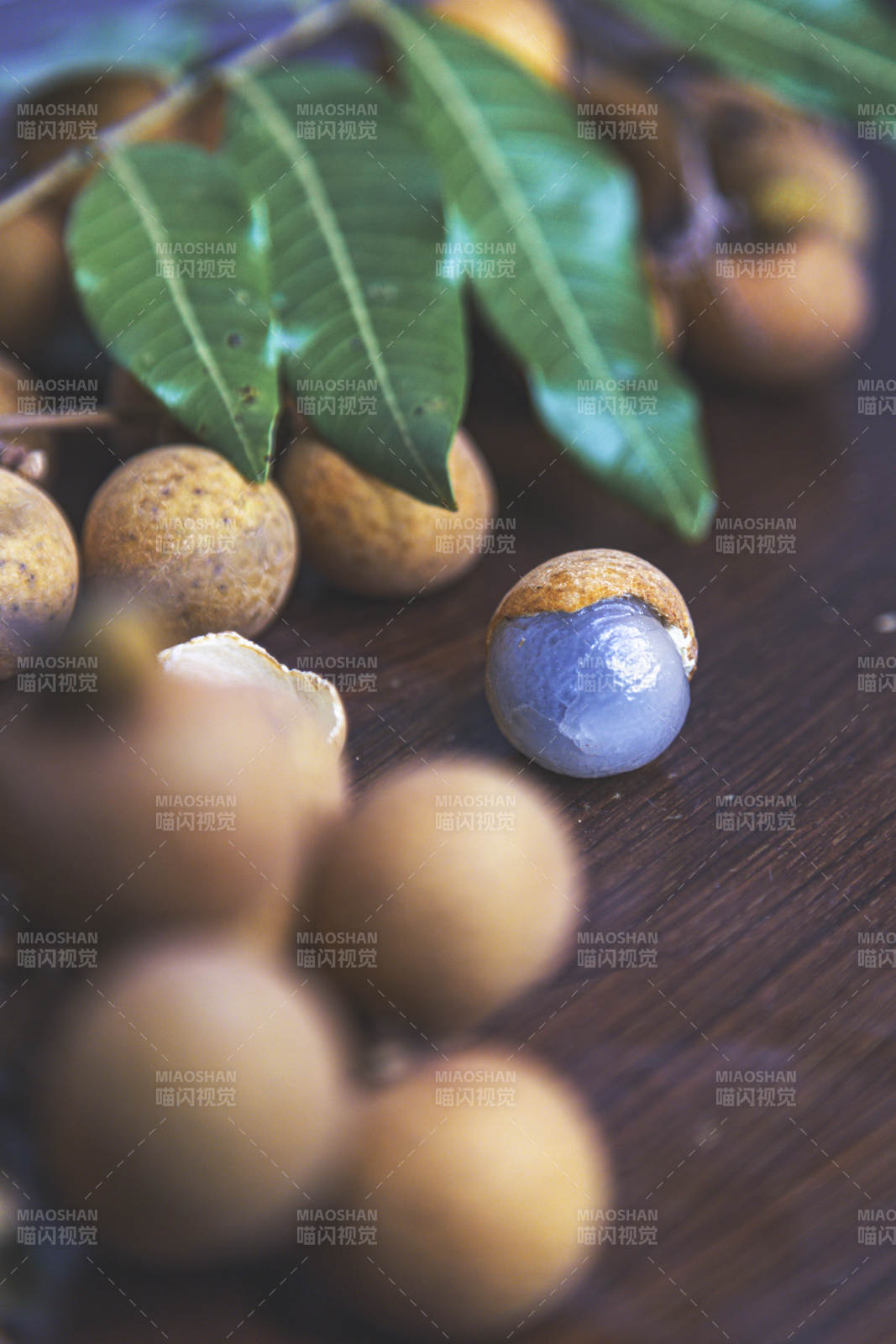 龙眼果与绿叶静置图片