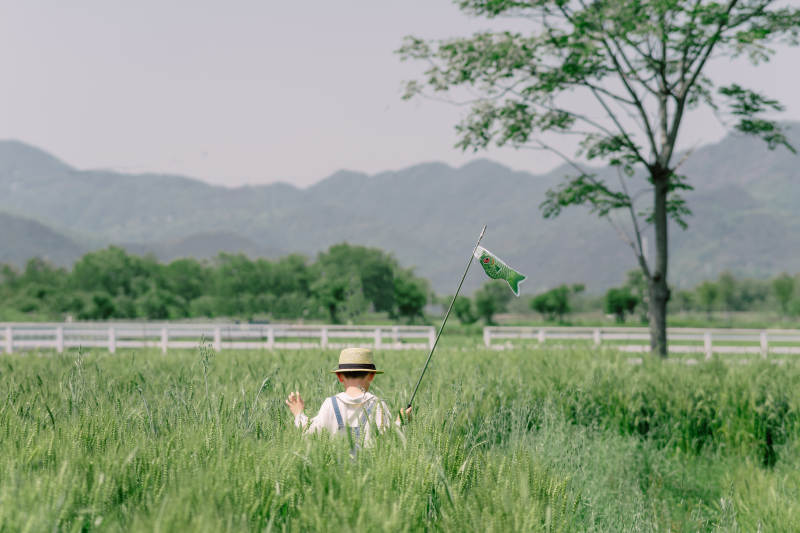 田园放风筝图片