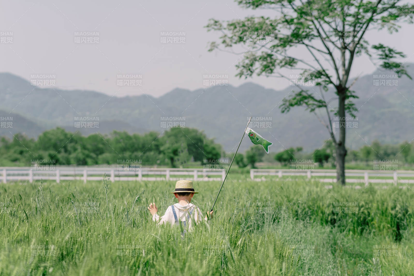 田园放风筝图片