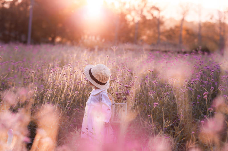 花海中的背影图片