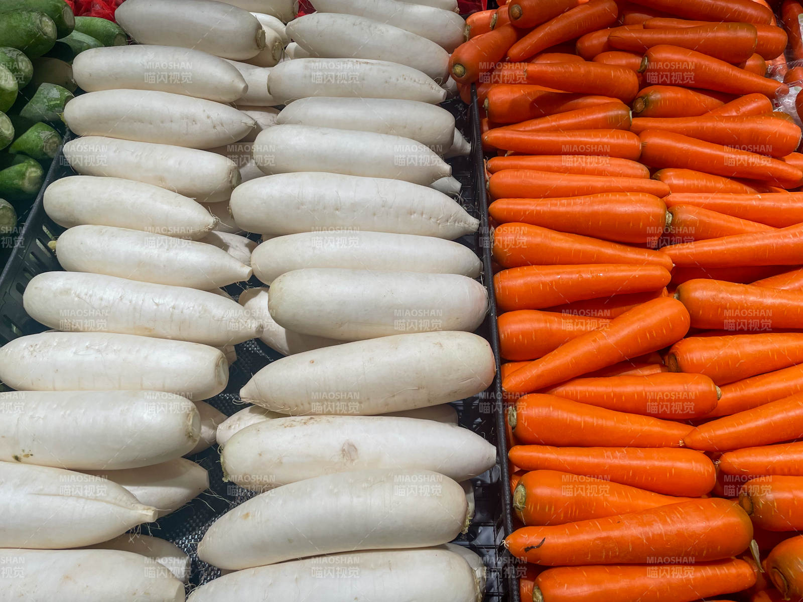白萝卜与胡萝卜图片