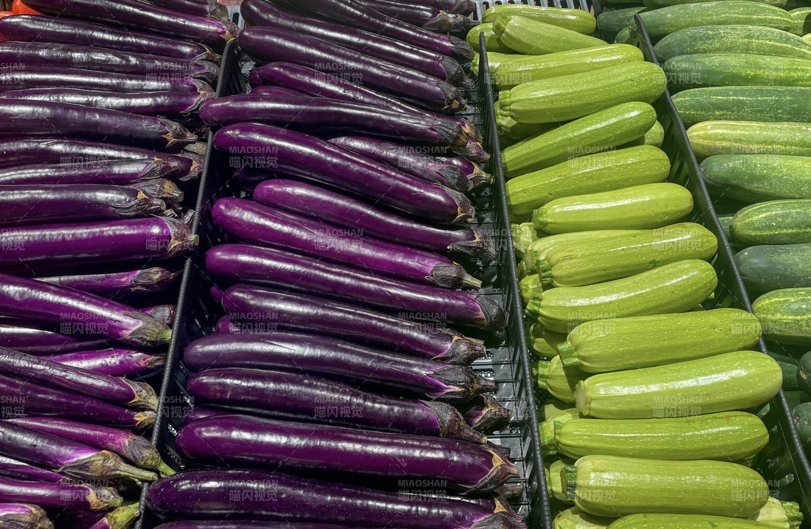 紫茄西葫芦整齐排列图片