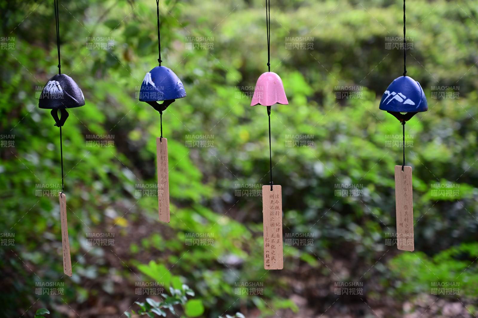 风铃轻摇绿意间图片