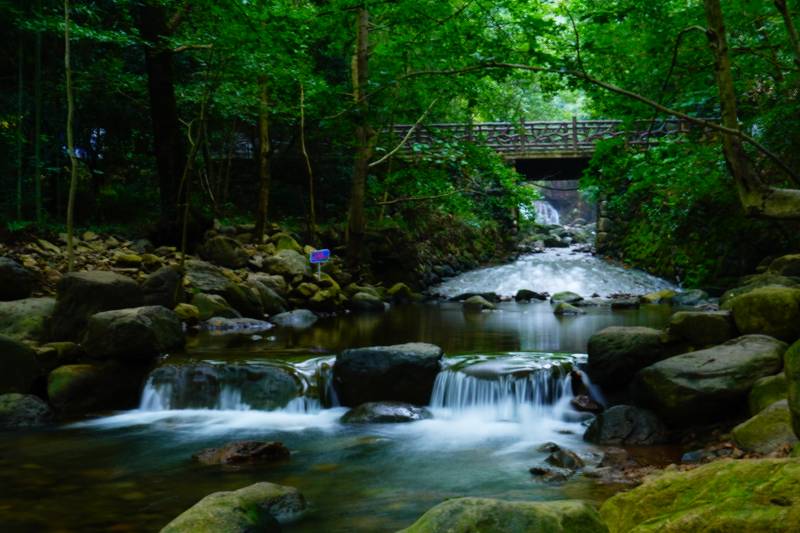 林间溪流瀑布图片