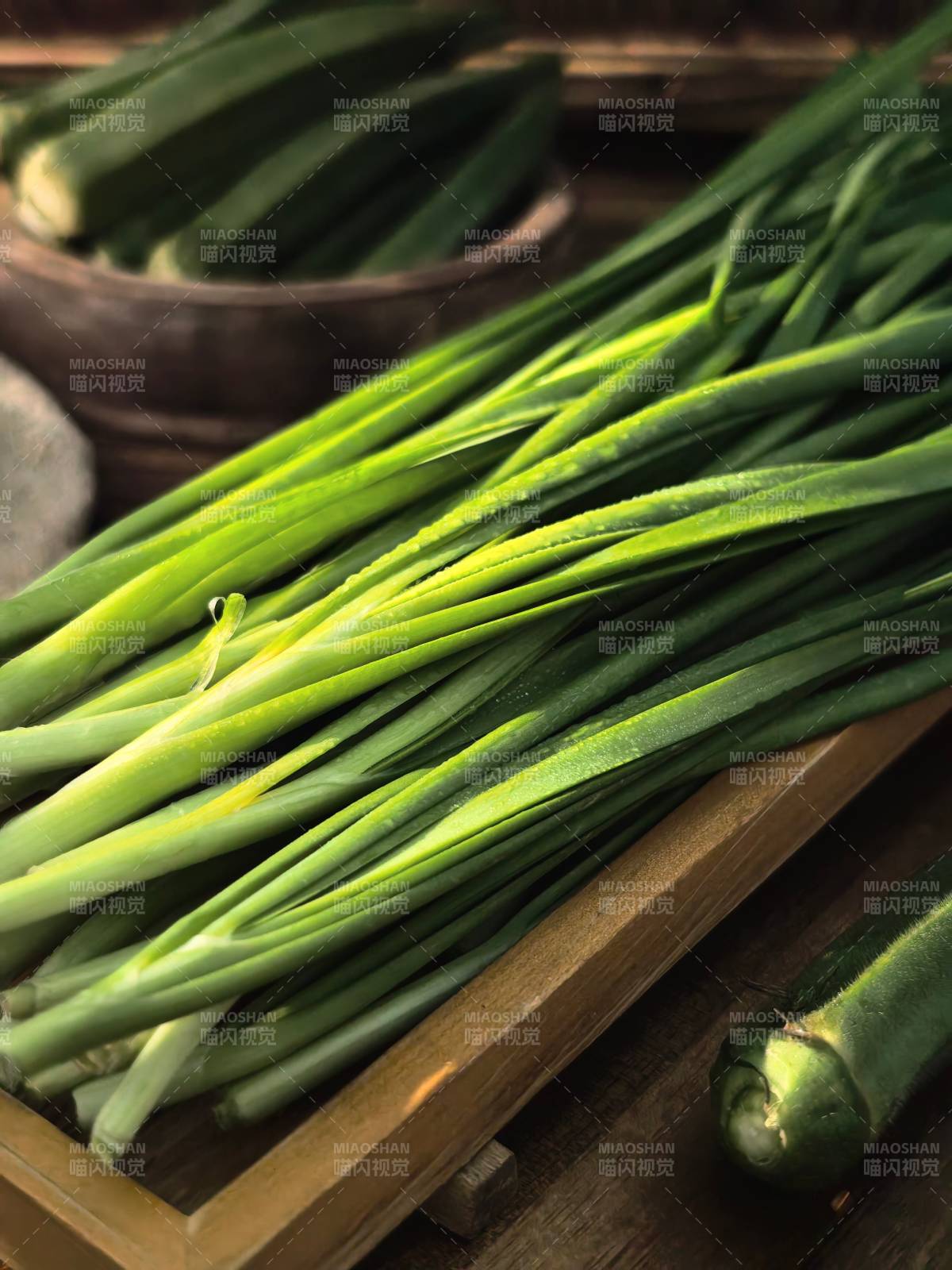 新鲜韭菜 生机盎然图片